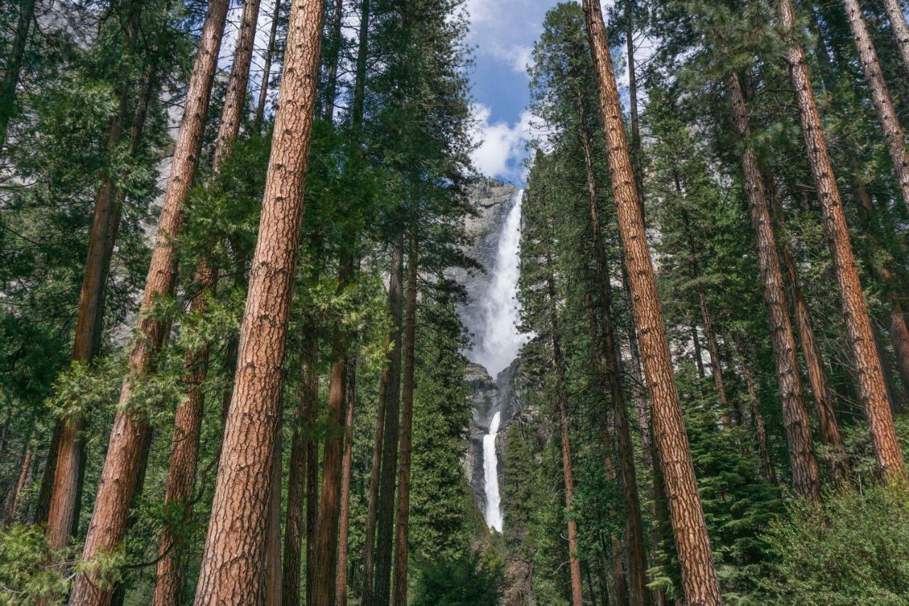 Fairfield Inn & Suites By Marriott Oakhurst Yosemite Esterno foto